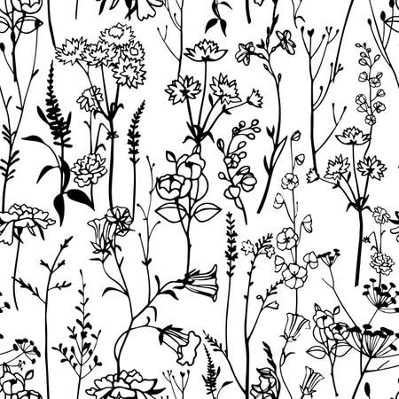 Botanical seamless pattern isolated on white. Meadow herbs, plants, flowers. Line outline graphic drawing. Elegant floral silhouettes. Herbarium style ornament.のイラスト素材