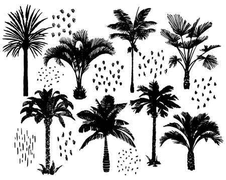 Different palm trees set. Hand drawn tropical plants and doodles. Pen graphic. Collection of exotic tropical plants isolated on white.のイラスト素材