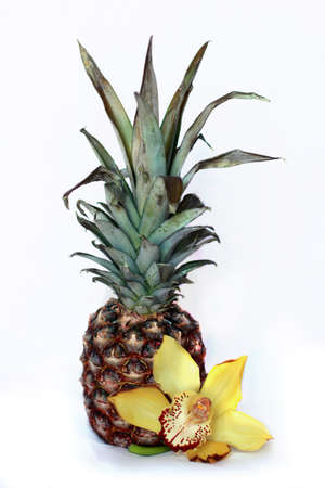 tropical still life with pineapple and orchidの写真素材