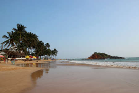 view of the hill and palms on the sandy beachの写真素材