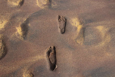 footprints on the golden sand on the beachの写真素材