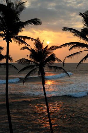 sunset over the sea waves and palm trees silhouettesの写真素材