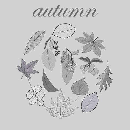 Abstract concept vector composition of autumn monochrome leavesのイラスト素材