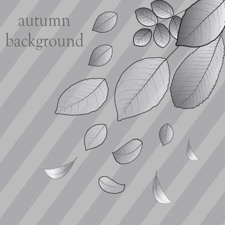 Abstract concept vector composition of autumn monochrome leavesのイラスト素材