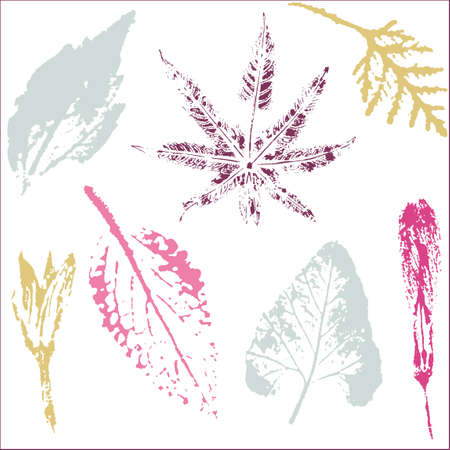 Vector branches and leaves. Hand drawn floral elements. Vintage monochrome botanical illustration.