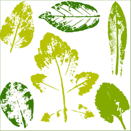 Vector branches and leaves. Hand drawn floral elements. Vintage monochrome botanical illustration.のイラスト素材