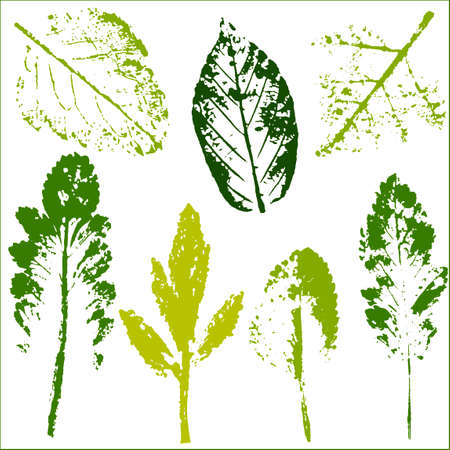 Vector branches and leaves.Hand drawn floral elements. Vintage botanical illustration.Stamp of multi colored leaves on a white background.のイラスト素材