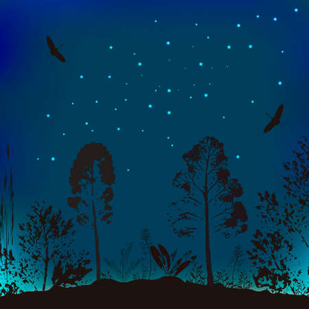 A Vector illustration of wildlife. The background from the evening sky, trees and flying birds.のイラスト素材