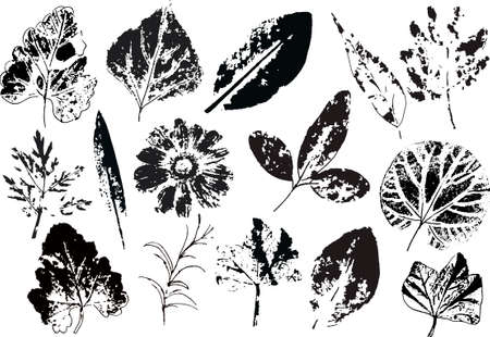 Vector branches and leaves.Hand drawn floral elements.のイラスト素材