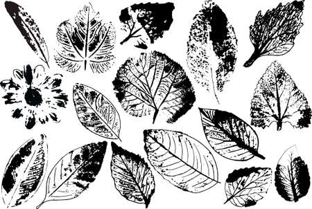 Vector branches and leaves.Hand drawn floral elements.のイラスト素材