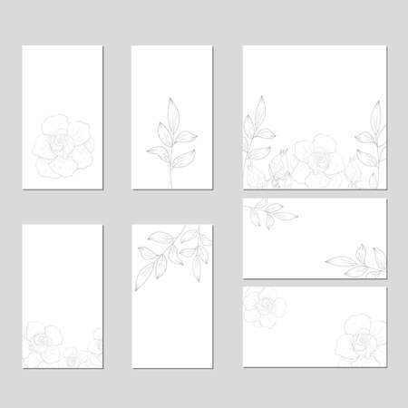 Vector template for wedding invitation. Green leaves, peony,rosas flowers, floral borders, striped background. All elements are isolated.のイラスト素材