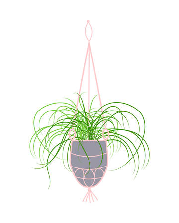 Isolated hanging detailed planter made of cotton cord, potted plants for Indoor and outdoor or office, landscape garden.のイラスト素材