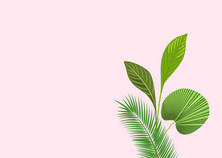 Tropical leaf background,trendy text space.Design poster, banner, web site, isolated illustrationのイラスト素材