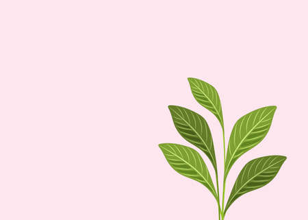 Tropical leaf background,trendy text space.Design poster, banner, web site, isolated illustrationのイラスト素材