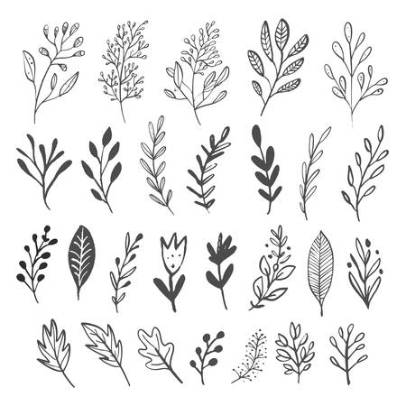 Hand drawn monochrome flowers, leaves and branches.のイラスト素材