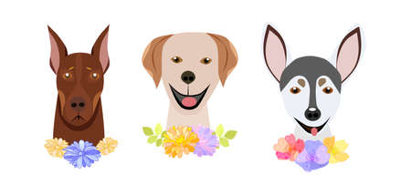 Cute dog fashion isolated pets on a white background.They can be used in the brochure, banners, ads.Vector illustration.のイラスト素材