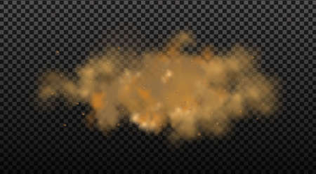 Dust cloud with particles.Realistic vector isolated on transparent background.のイラスト素材