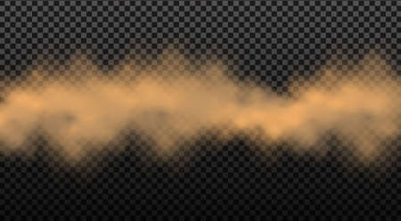 Dust cloud with particles.Realistic vector isolated on transparent background.のイラスト素材