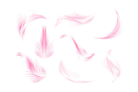 Vector feathers collection.のイラスト素材