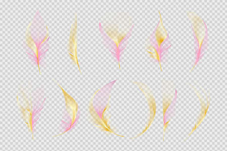 Vector gold feathers collection. Falling fluffy twirled feathers.のイラスト素材