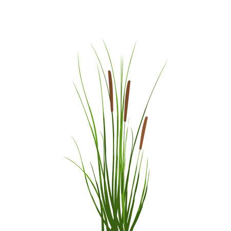 Cane silhouette on white background.Vector hand drawing sketch.のイラスト素材
