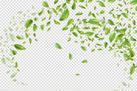 Nature, tea plantation, green tea garden background.Fresh decorative design elements.のイラスト素材