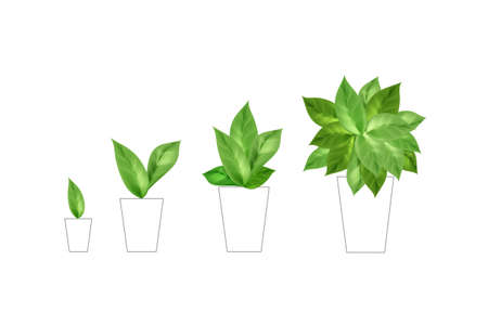 Save environment rescue the forests.Tree growing plant leaves.Environmentally friendly concept respect for nature.のイラスト素材