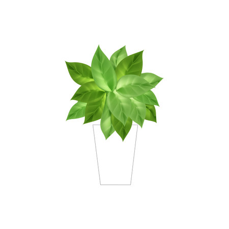 Save environment rescue the forests.Tree growing plant leaves.Environmentally friendly concept respect for nature.のイラスト素材