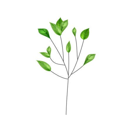 Save environment rescue the forests.Tree growing plant leaves.Environmentally friendly concept respect for nature.のイラスト素材
