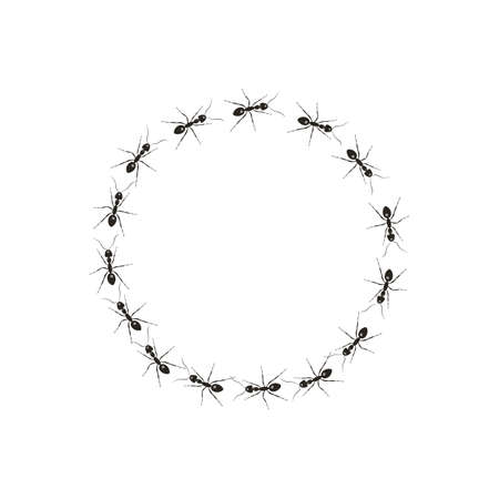 A colony of worker ants. Black ants paving the way to their goal.のイラスト素材