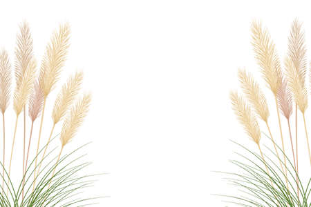 Dried plant for decoration, frame, background, fabric print, retro textile, wallpaper.のイラスト素材