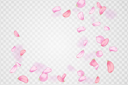 Nature horizontal background.Pink falling sakura petals.Vector background with spring cherry blossom.のイラスト素材