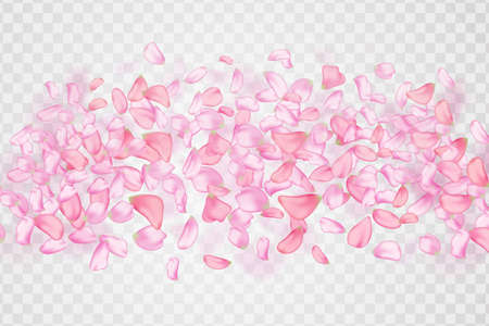 Nature horizontal background.Pink falling sakura petals.Vector background with spring cherry blossom.のイラスト素材