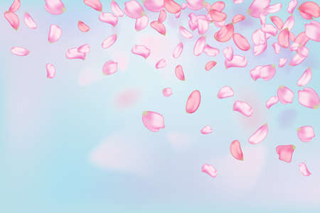 Nature horizontal background.Pink falling sakura petals and flowers.のイラスト素材