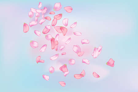 Nature horizontal background.Pink falling sakura petals and flowers.のイラスト素材