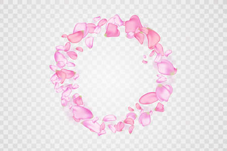 Nature horizontal background.Pink falling sakura petals and flowers.のイラスト素材