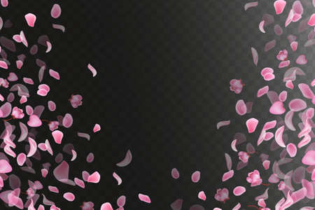Nature horizontal background.Pink falling sakura petals and flowers.のイラスト素材