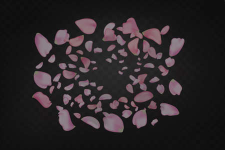 Nature horizontal background.Pink falling sakura petals and flowers.のイラスト素材