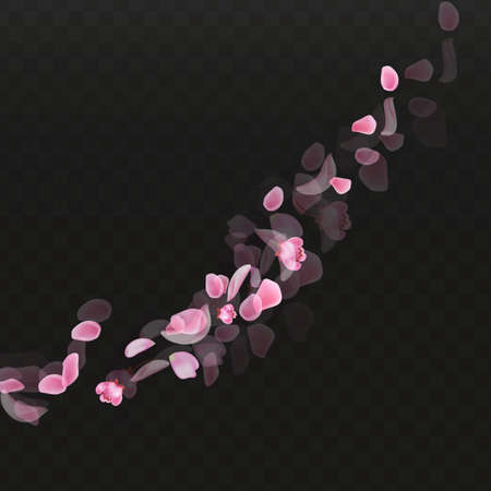 Nature horizontal black background.Pink falling sakura petals.のイラスト素材