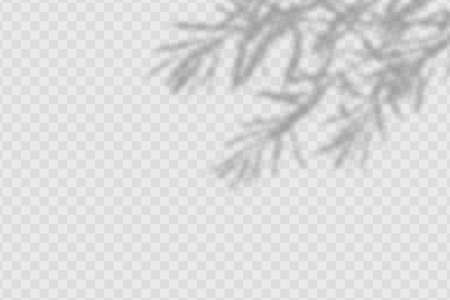 The effect of overlaying shadows. Natural light layout.のイラスト素材