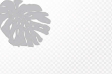 The effect of overlaying shadows. Natural light layout.Realistic shadow tropical leaves and branches on transparent checkered background.のイラスト素材