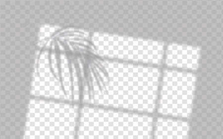 The effect of overlaying shadows. Natural light layout.Realistic shadow of tropical leaves or branches on transparent checkered background.のイラスト素材