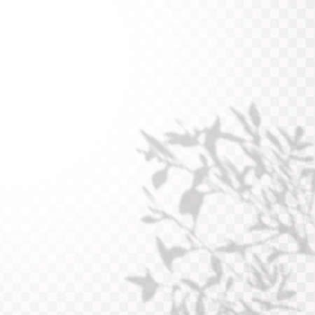 The effect of overlaying shadows. Natural light layout.Realistic shadow tropical leaves and branches on transparent checkered background.のイラスト素材