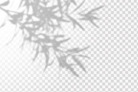 The effect of overlaying shadows. Natural light layout.Realistic shadow tropical leaves and branches on transparent checkered background.のイラスト素材
