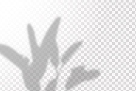 The effect of overlaying shadows. Natural light layout.Realistic shadow of tropical leaves or branches on transparent checkered backgroundのイラスト素材