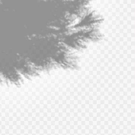 The effect of overlaying shadows. Natural light layout.Realistic shadow of tropical leaves or branches on transparent checkered backgroundのイラスト素材