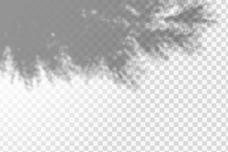 The effect of overlaying shadows. Natural light layout.Realistic shadow of tropical leaves or branches on transparent checkered backgroundのイラスト素材