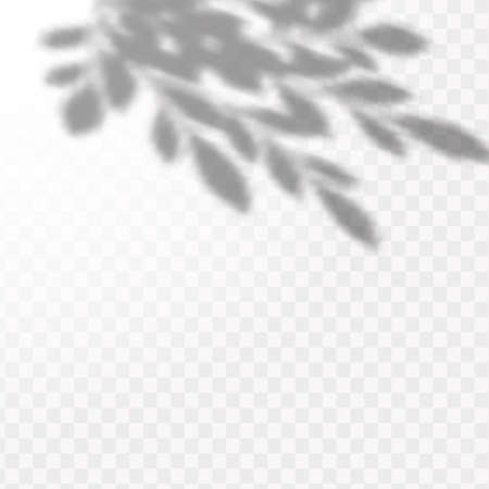The effect of overlaying shadows. Natural light layout.Realistic shadow of tropical leaves or branches on transparent checkered backgroundのイラスト素材