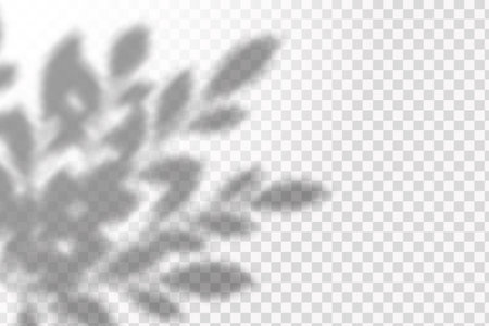 The effect of overlaying shadows. Natural light layout.Realistic shadow of tropical leaves or branches on transparent checkered backgroundのイラスト素材