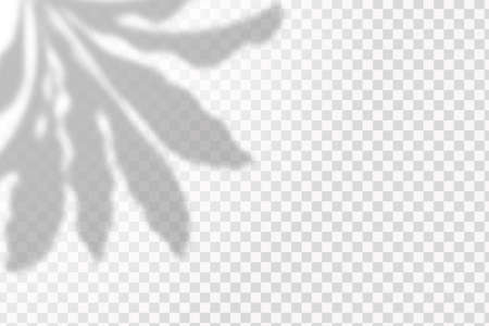 The effect of overlaying shadows. Natural light layout.Realistic shadow of tropical leaves or branches on transparent checkered backgroundのイラスト素材